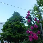 Adrion Διαμέρισμα *